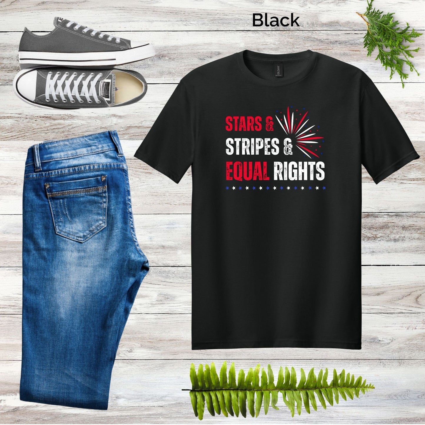 Stars & Stripes & Equal Rights