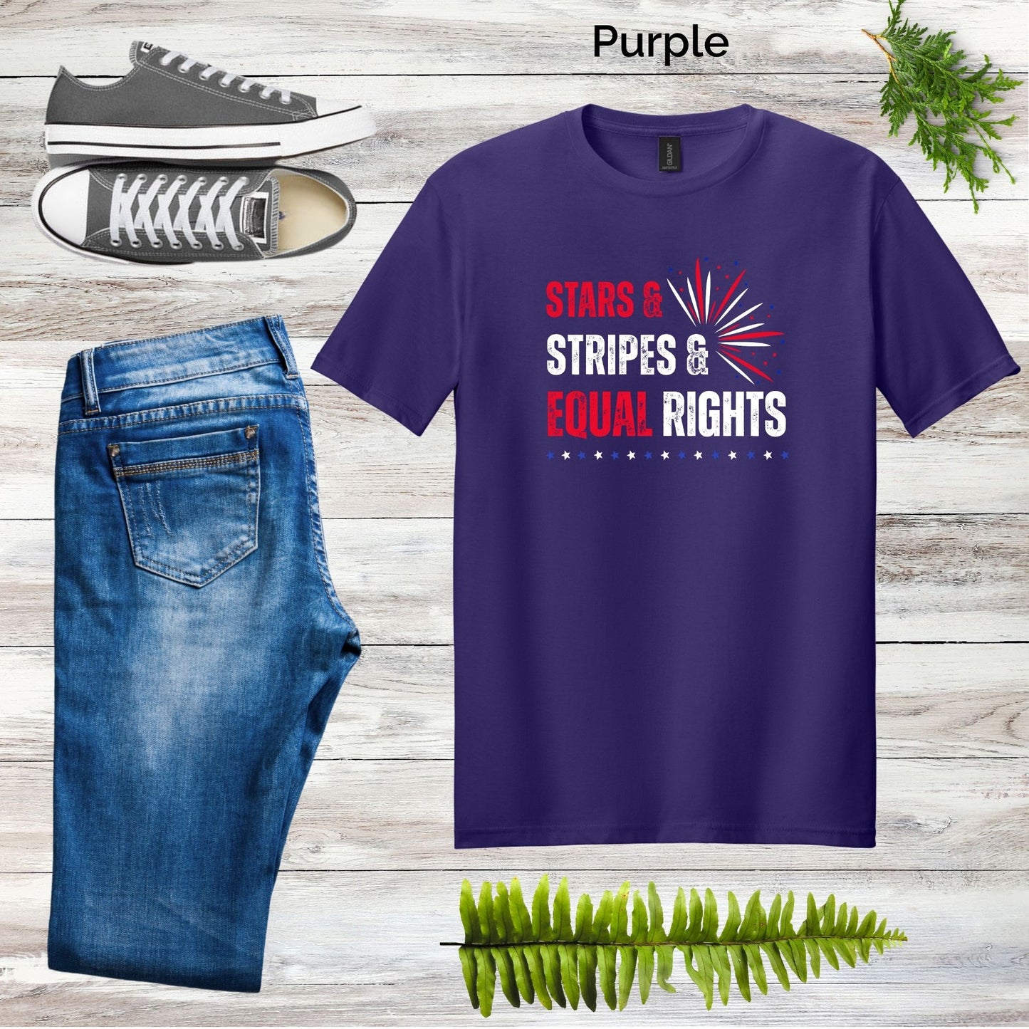 Stars & Stripes & Equal Rights